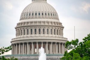 Бухорода одамни оёғидан осиб қўйиб реклама олганлар жаримага тортилди