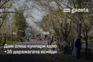 Дам олиш кунлари ҳаво +35 даражагача исийди