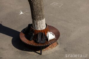 Алоҳида таълимга эҳтиёжи бўлган болаларни қўллаб-қувватлаш тизими янгиланади